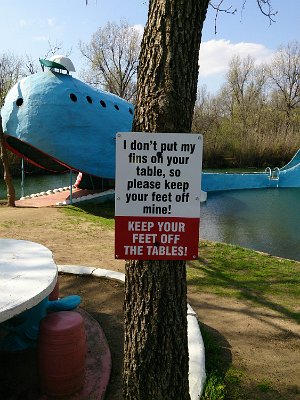 2015-04-07 Blue Whale (3)