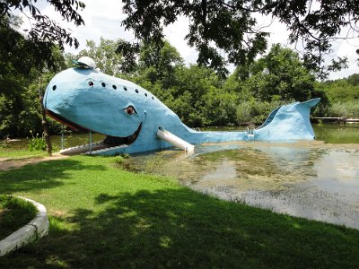 2010 Blue whale (4)