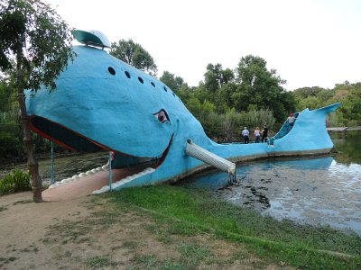 2011 Blue whale (9)