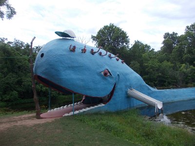 2013-06-19 Blue whale (26)