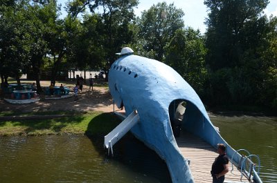 2014-08-27 Blue whale (41)