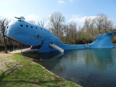2015-04-07 Blue Whale (9)