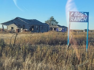 2023-10 New Bug Ranch by Dora Meroney 2