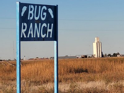 2023-10 New Bug Ranch by Dora Meroney 4