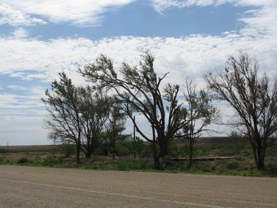 2011 Road from Glenrio to Endee (27)