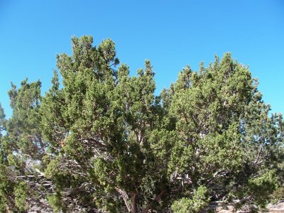 2009 Santa Fe trail (2)
